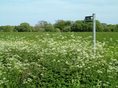 The Lincolnshire countryside